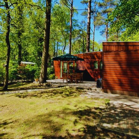 Wooden Nature Chalet - Dennenrhode Doornspijk Villa Exterior photo