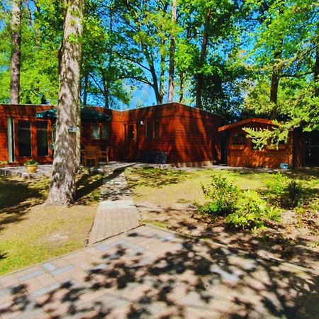 Wooden Nature Chalet - Dennenrhode Doornspijk Villa Exterior photo